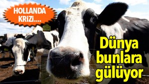 Dünya Türkiyedeki protestolara gülüp geçiyor