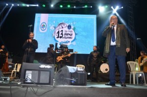 Festivale renk kattılar